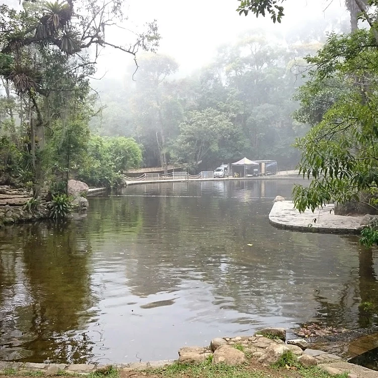 Espaço N°1 Festas e Eventos